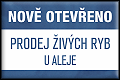 Klikni pro zvětšení !